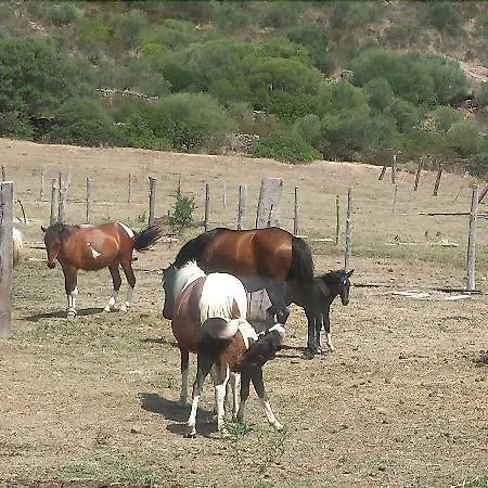 Monte Ricciu Αλγκέρο