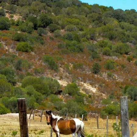 Monte Ricciu 3* Αλγκέρο